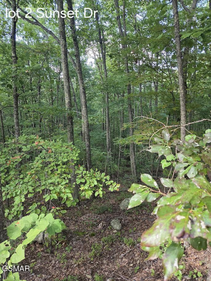 Lot 2 Sunset Drive Sevierville TN 37876
