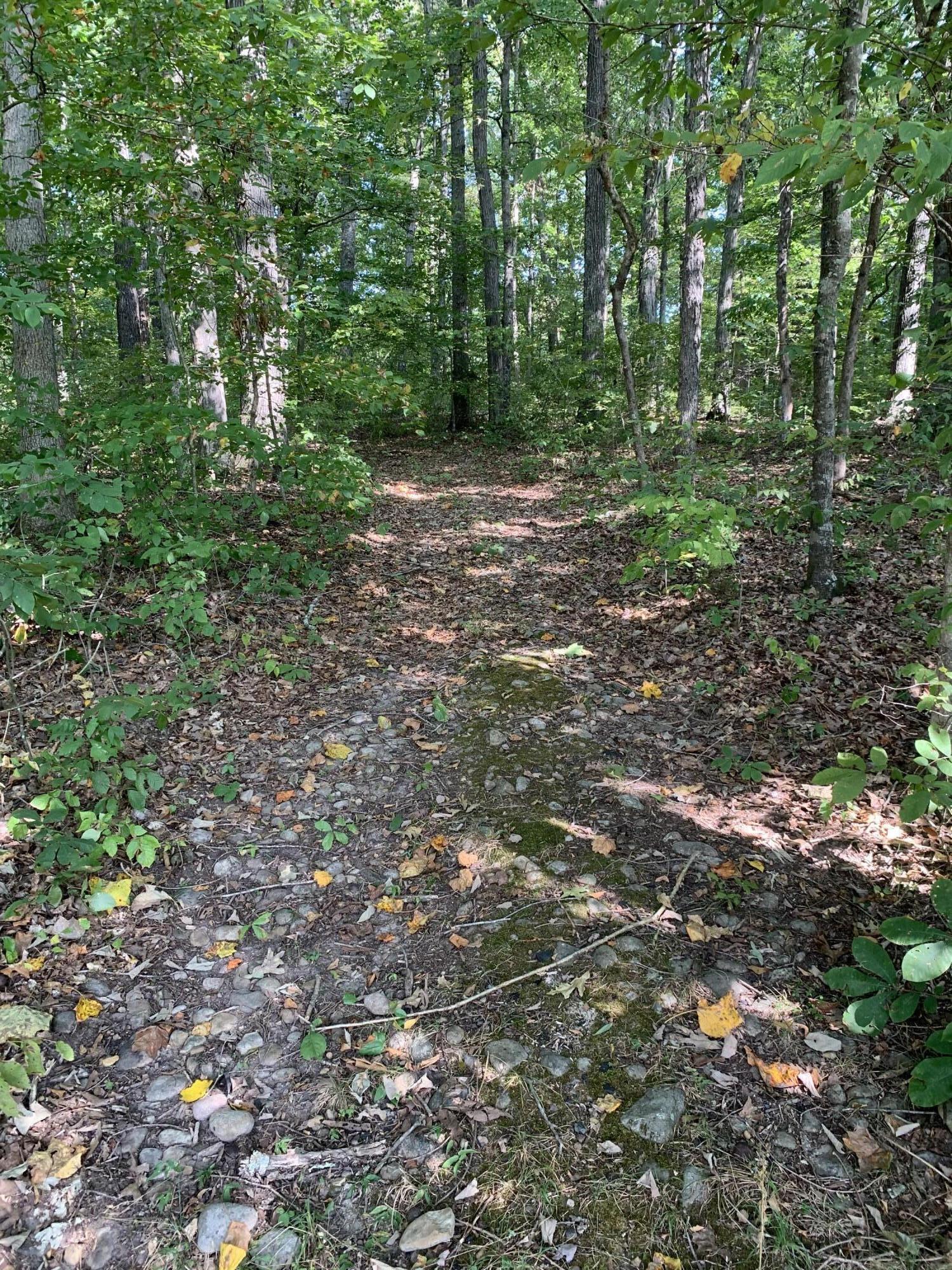 000 Glendale Road Bybee TN 37713