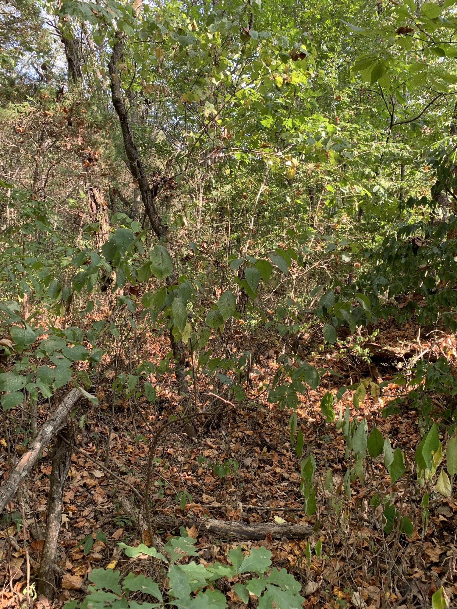 000 Glendale Road Bybee TN 37713
