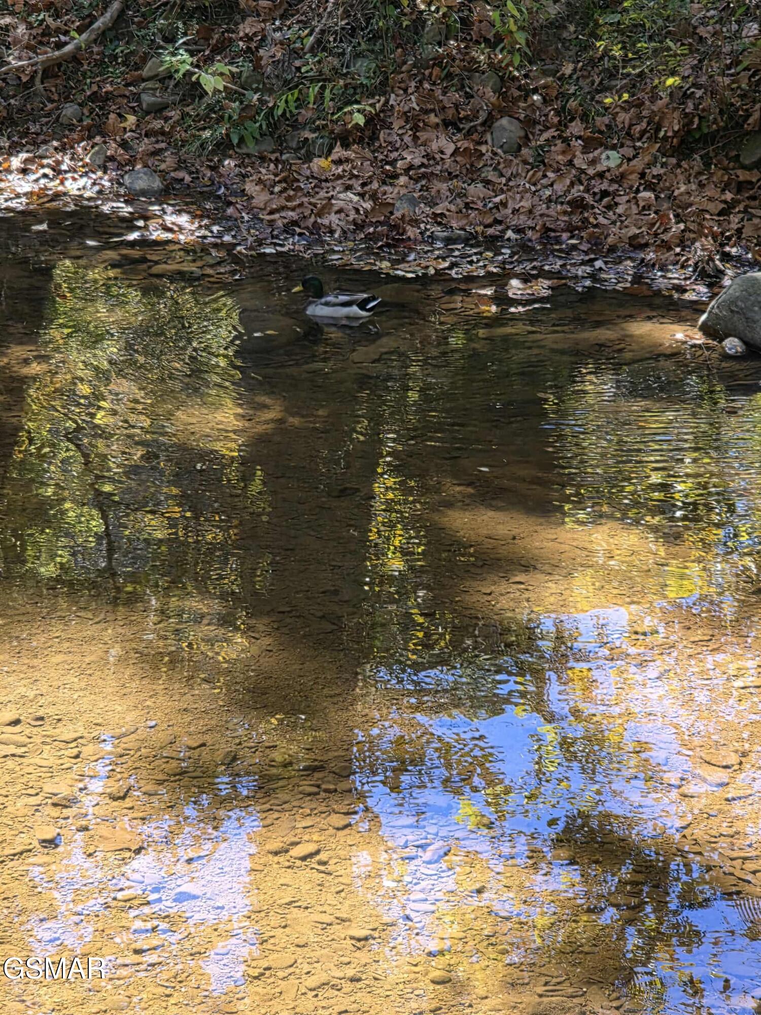 Lot 23 Slippery Rock Circle Pigeon Forge TN 37863