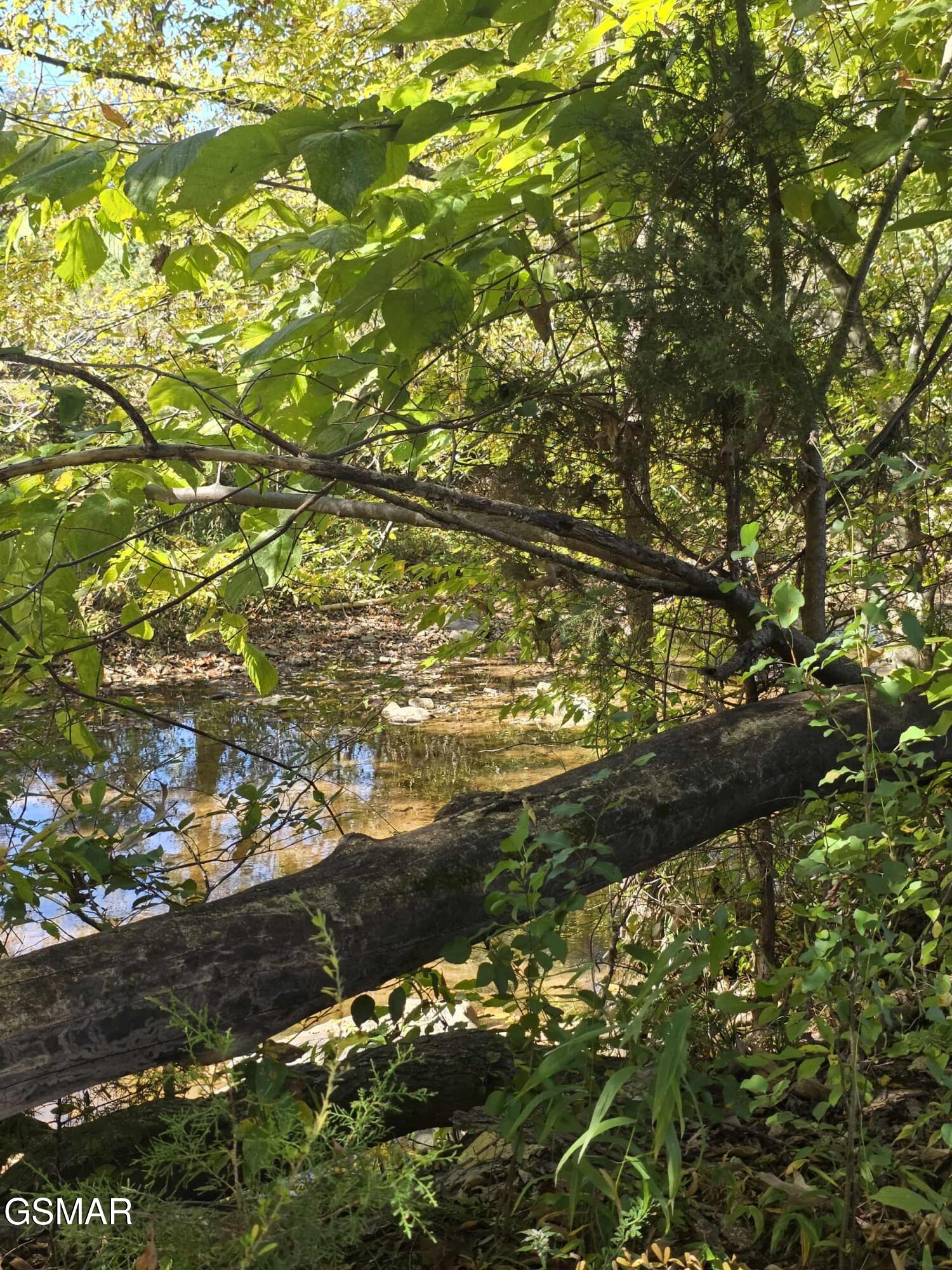 Lot 23 Slippery Rock Circle Pigeon Forge TN 37863