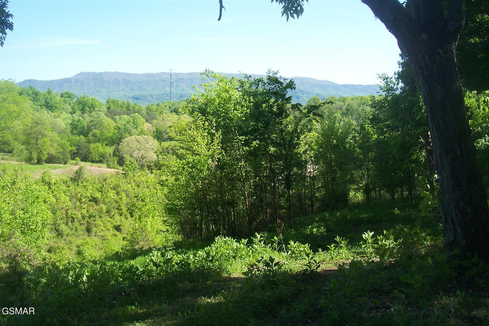 Tract 1 Chapman Highway Seymour TN 37865
