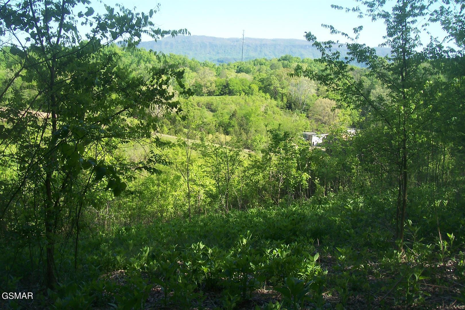 Tract 1 Chapman Highway Seymour TN 37865