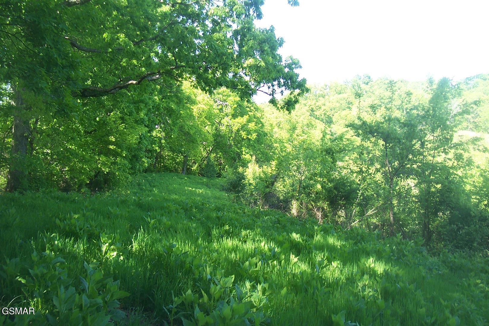 Tract 1 Chapman Highway Seymour TN 37865