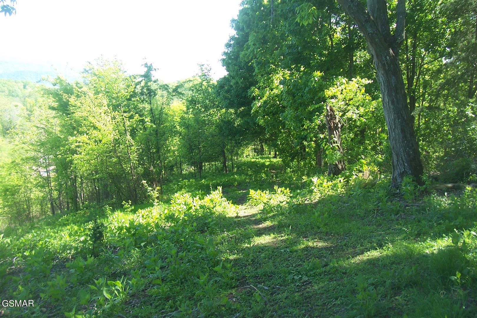 Tract 1 Chapman Highway Seymour TN 37865