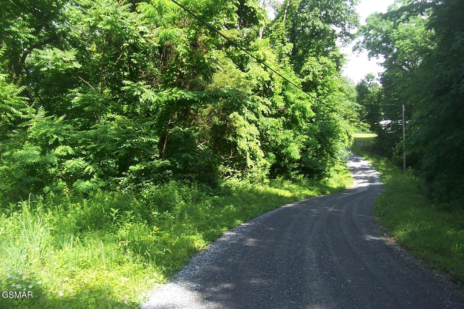 Lot 21 Clearwood Road Newport TN 37821