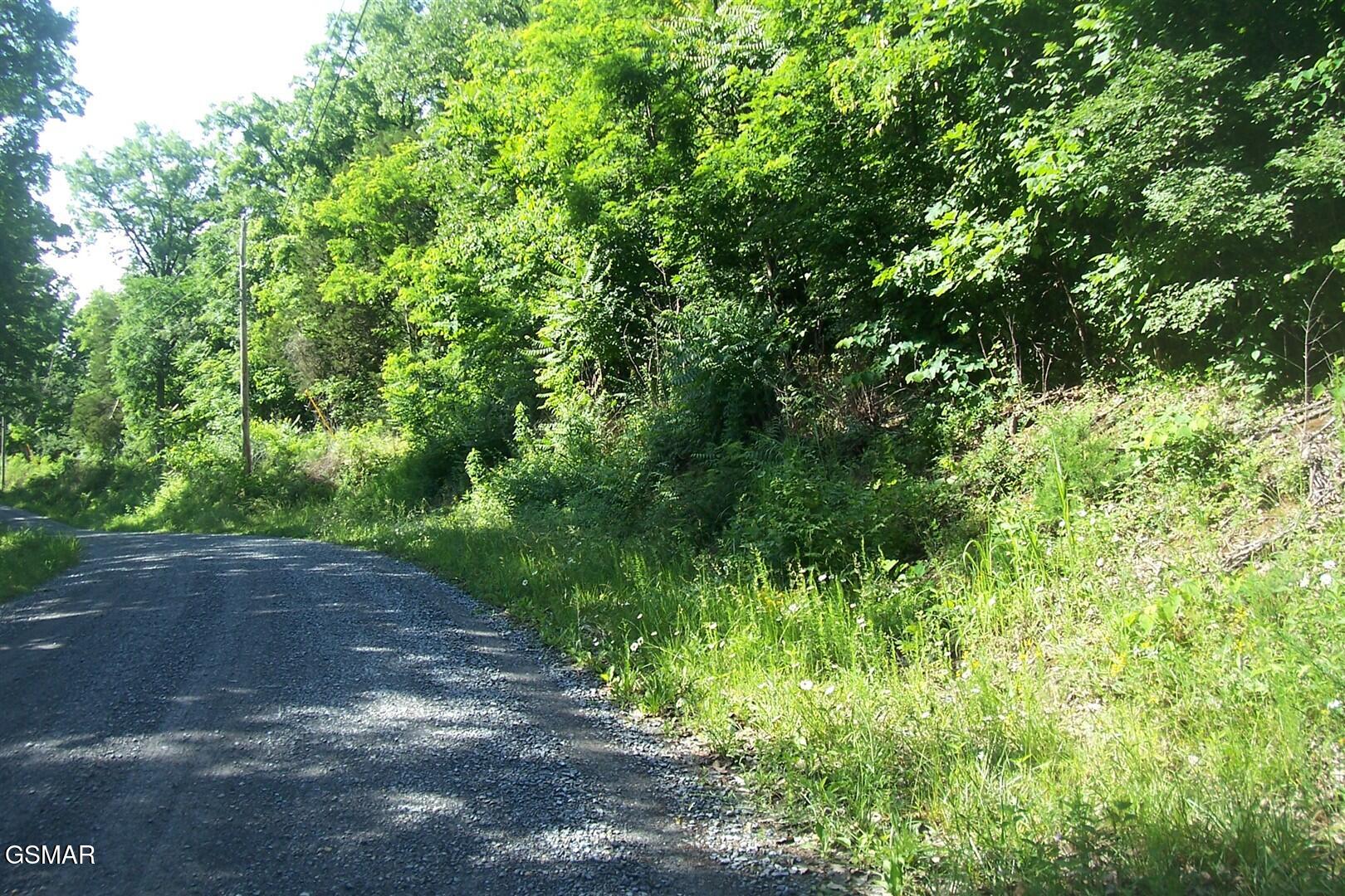 Lot 21 Clearwood Road Newport TN 37821
