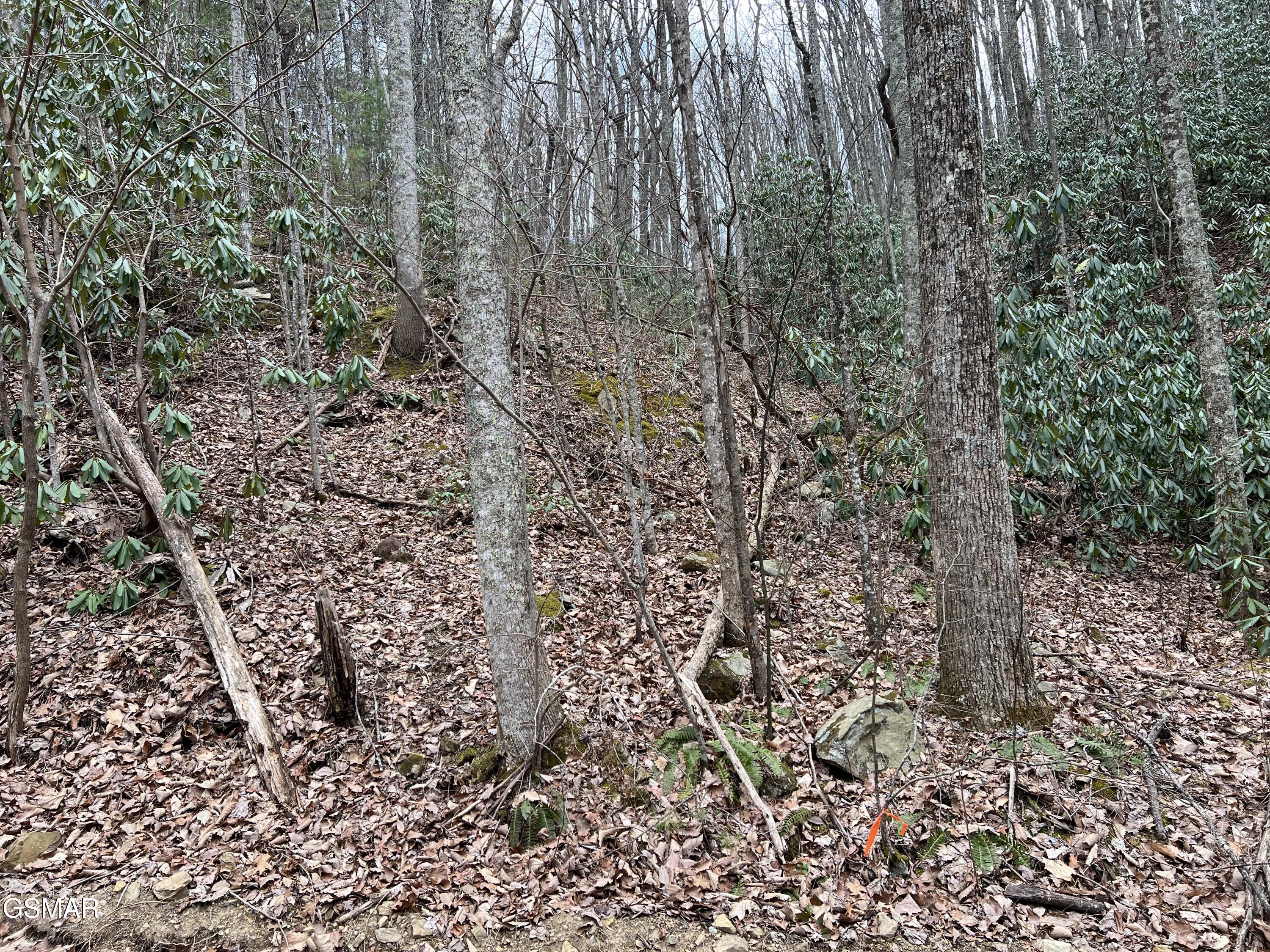 Lot 10 John Sevier Drive Sevierville TN 37876