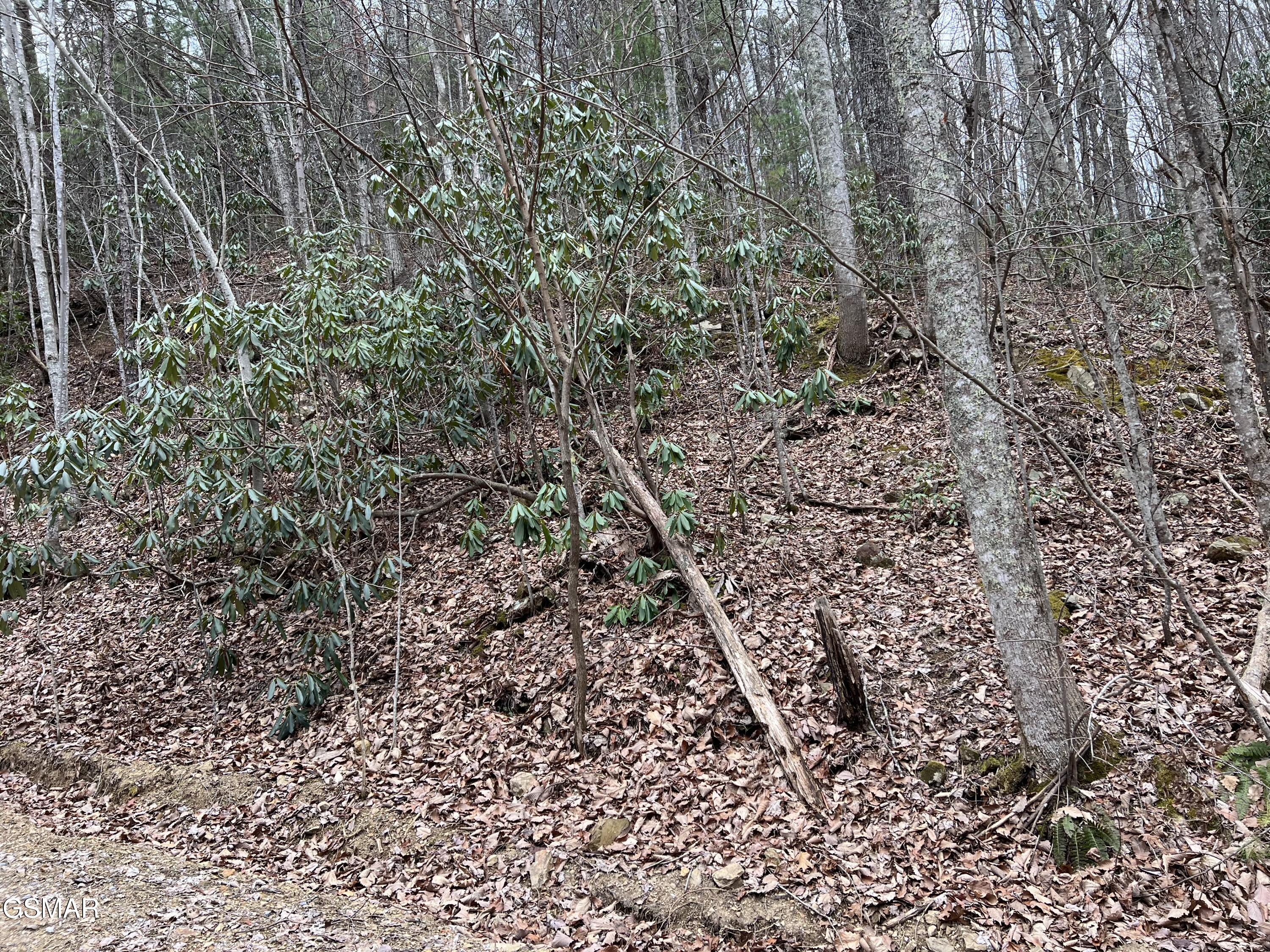 Lot 10 John Sevier Drive Sevierville TN 37876