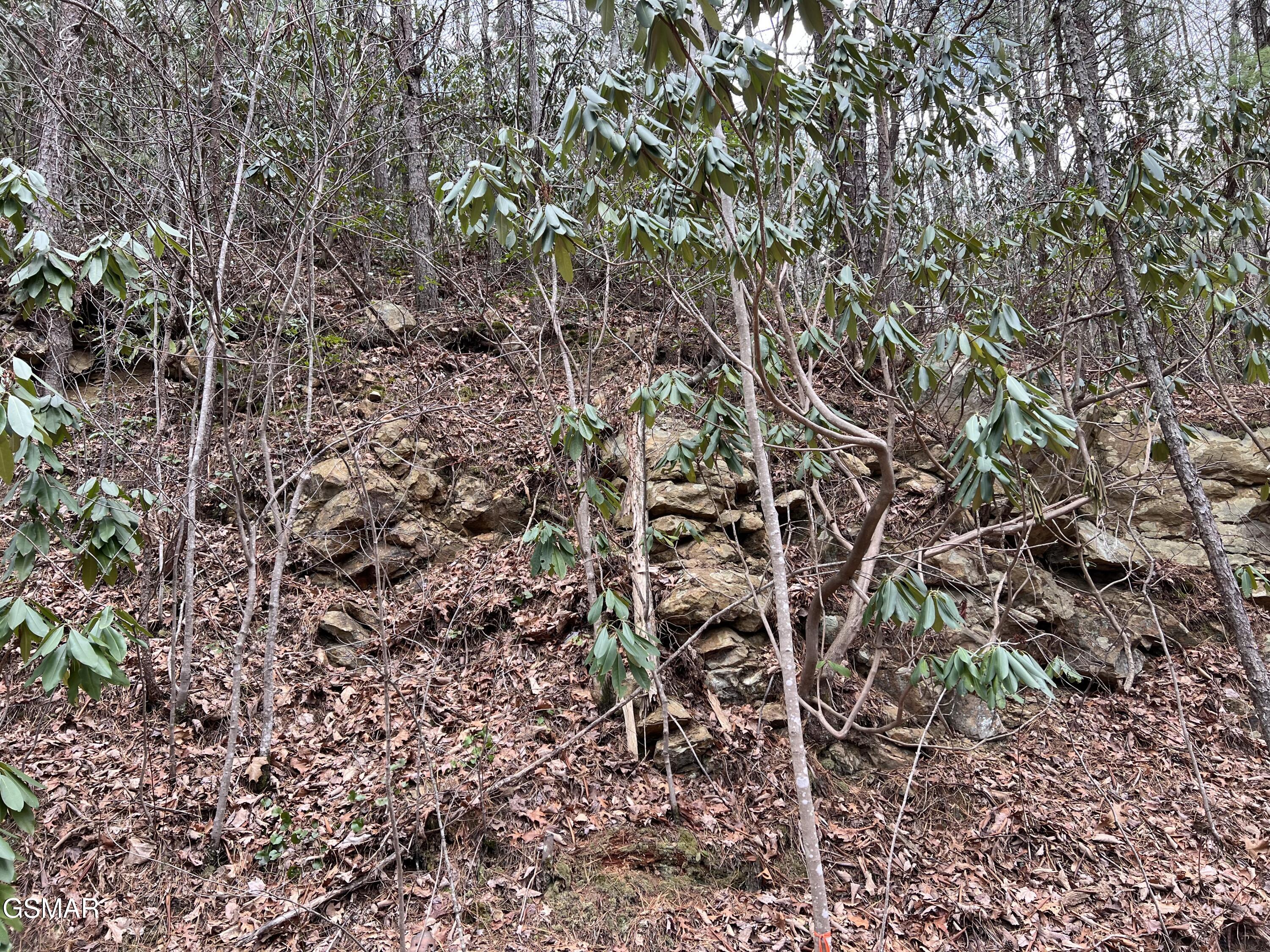 Lot 10 John Sevier Drive Sevierville TN 37876