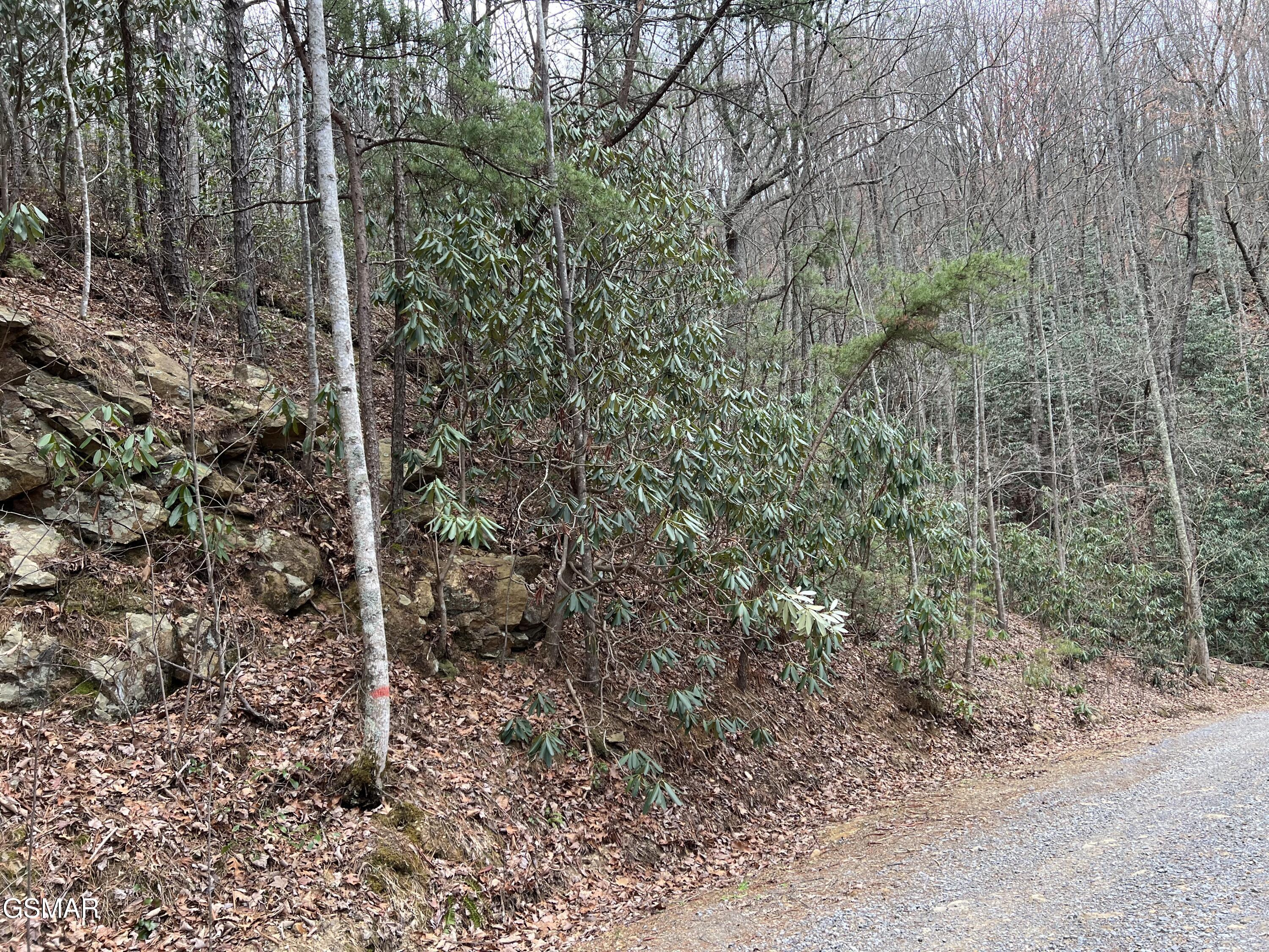 Lot 10 John Sevier Drive Sevierville TN 37876