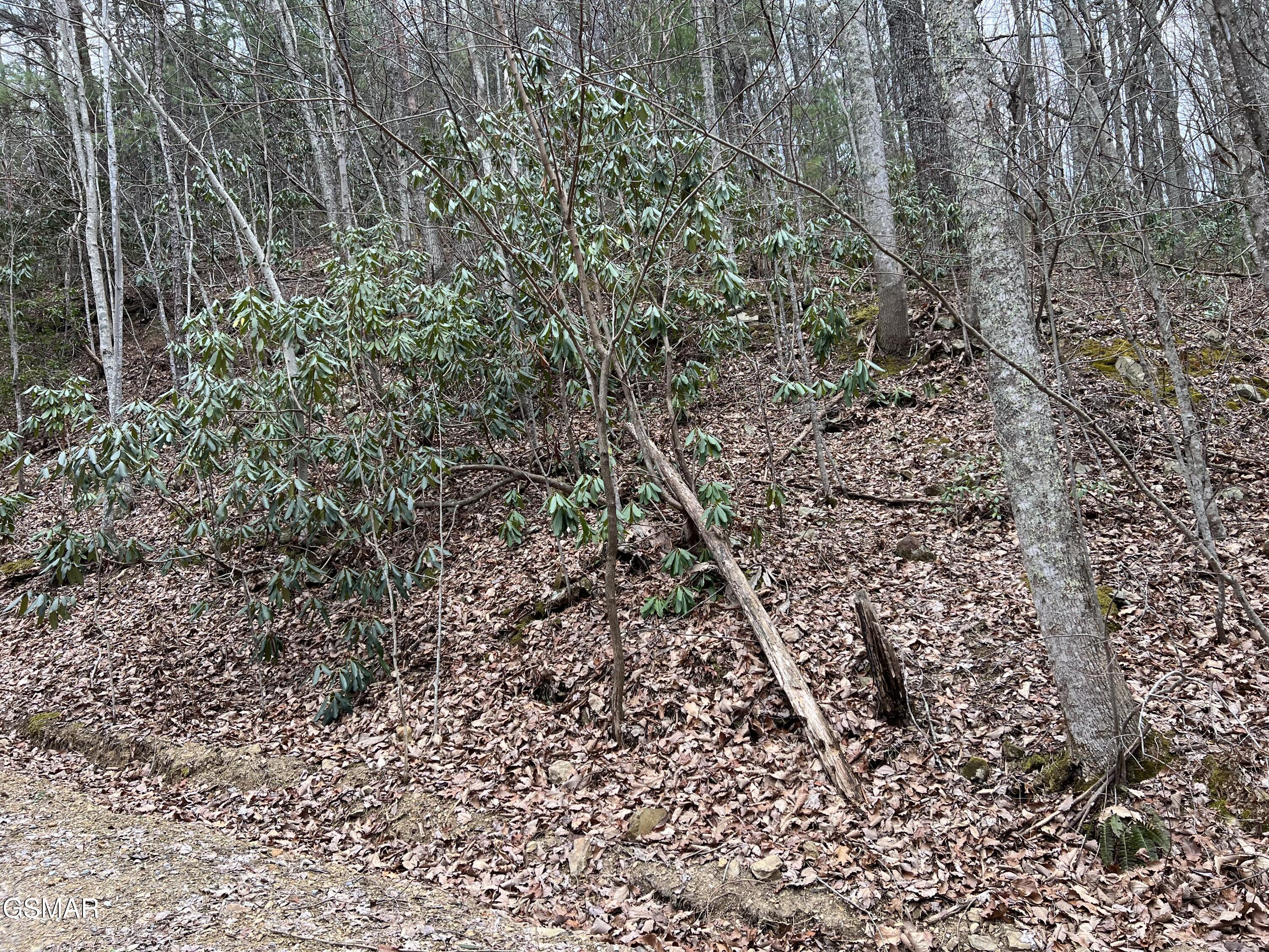 Lot 10 John Sevier Drive Sevierville TN 37876