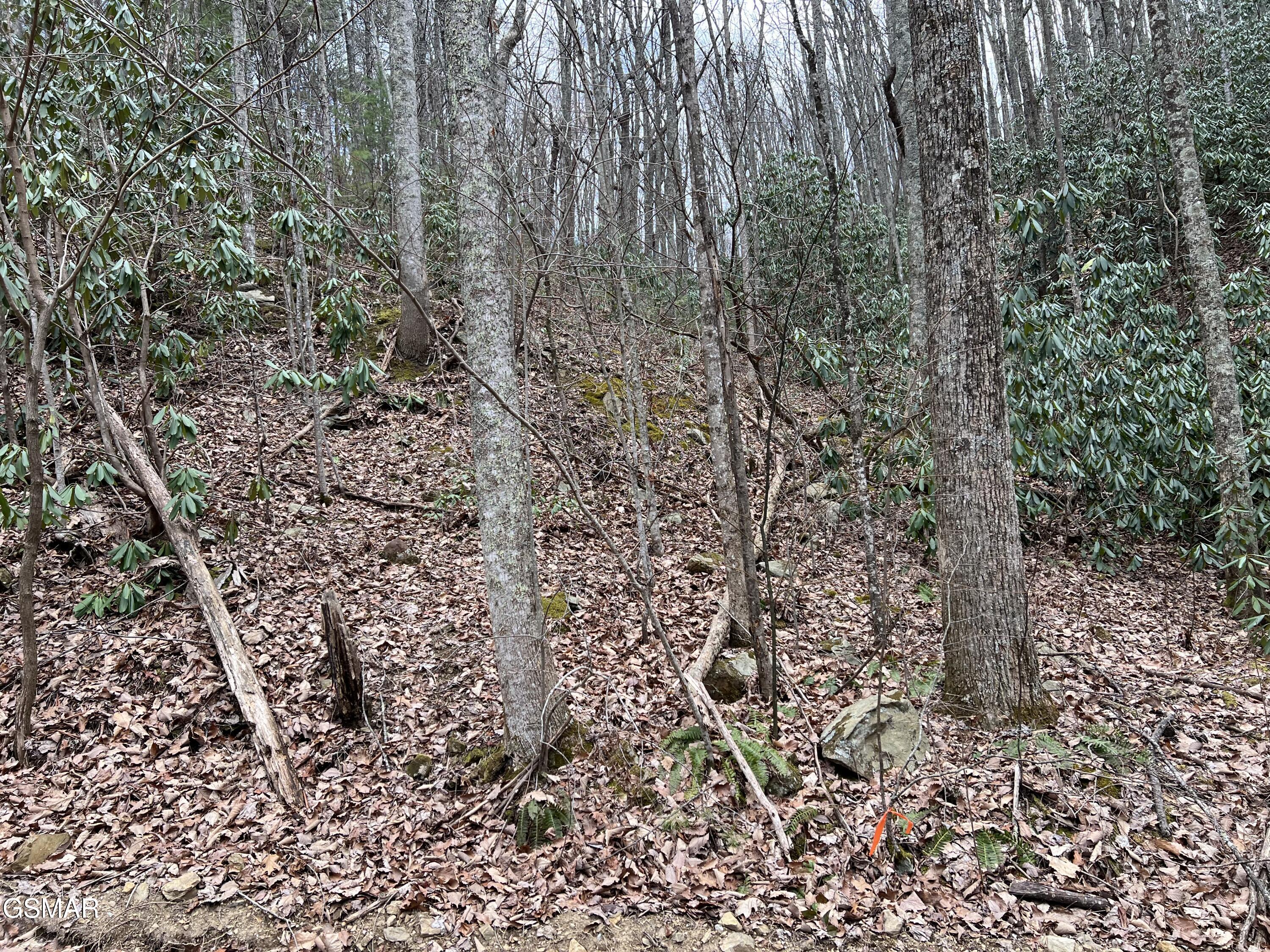 Lot 10 John Sevier Drive Sevierville TN 37876