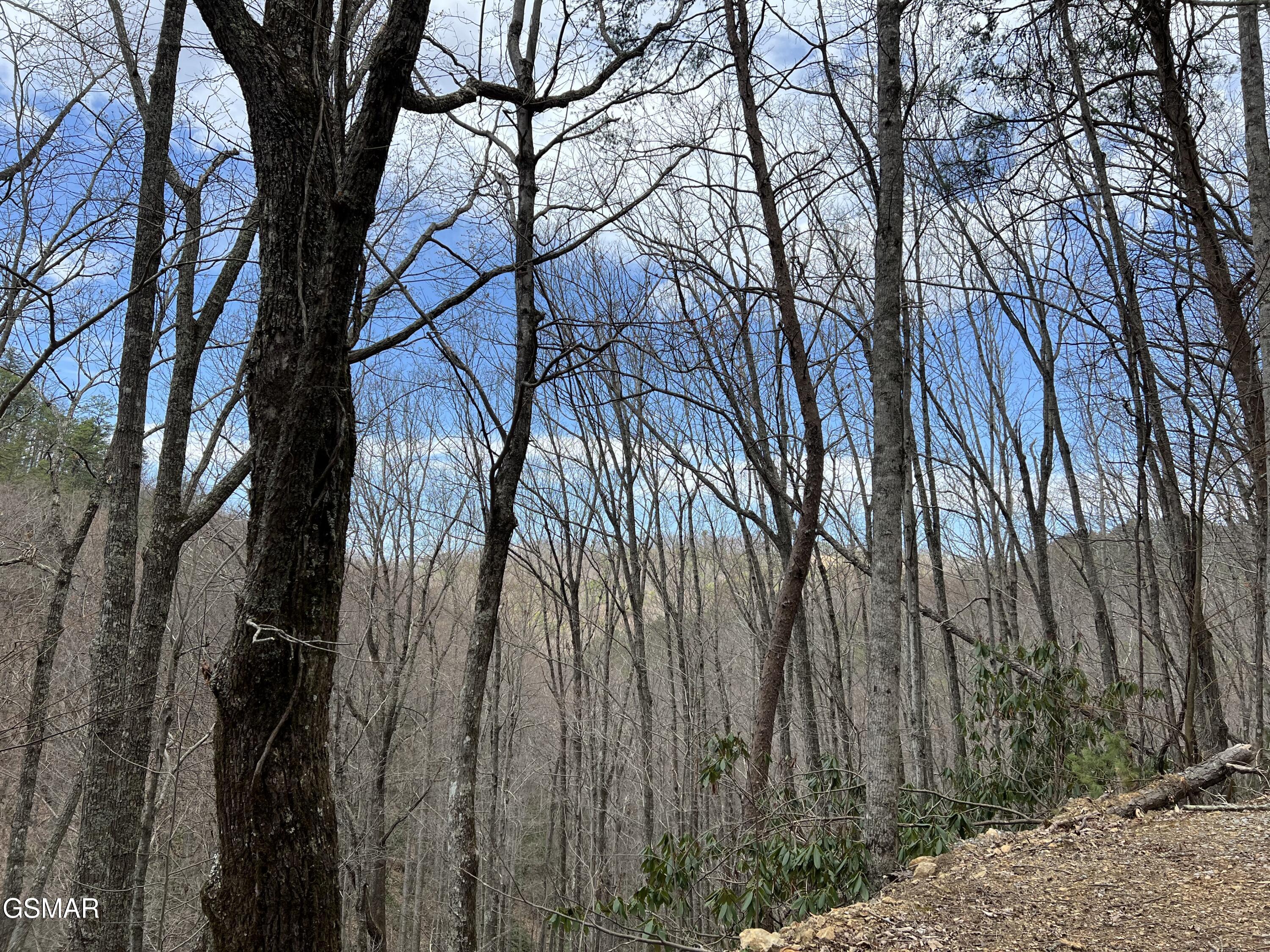 Lot 10 John Sevier Drive Sevierville TN 37876