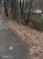 833 Sleepy Hollow Road Gatlinburg TN 37738