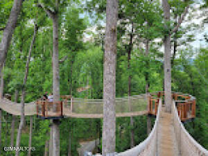 833 Sleepy Hollow Road Gatlinburg TN 37738