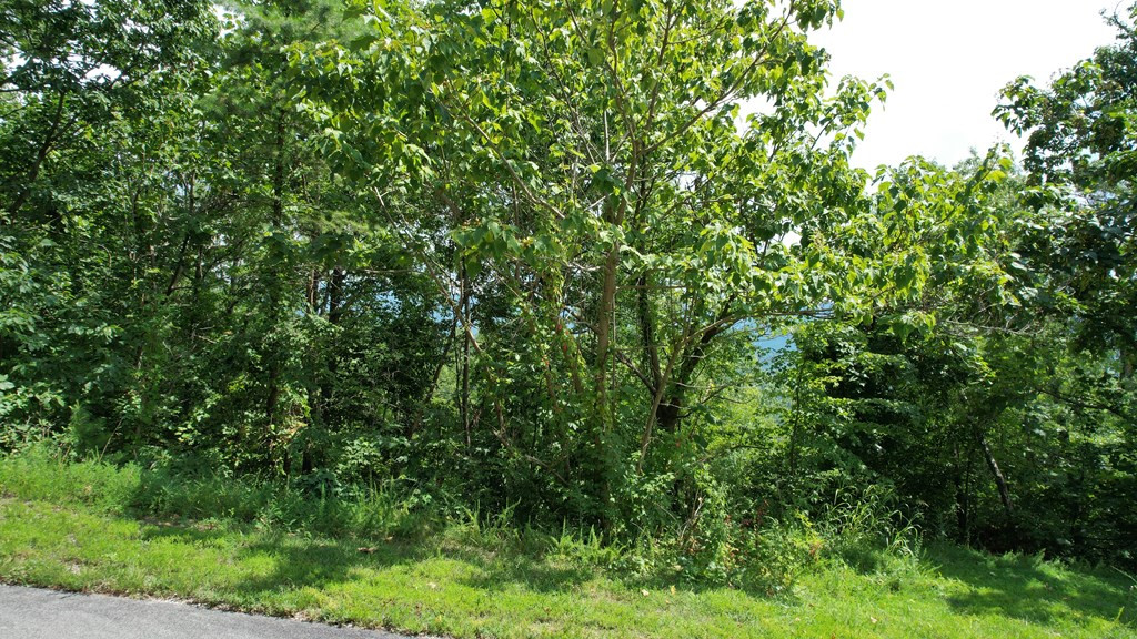 Lot 118 Settlers View Lane Sevierville TN 37862