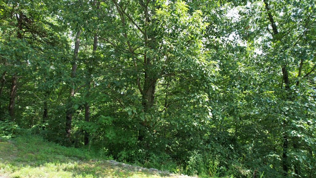 Lot 118 Settlers View Lane Sevierville TN 37862