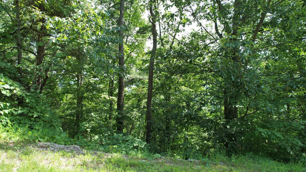 Lot 118 Settlers View Lane Sevierville TN 37862
