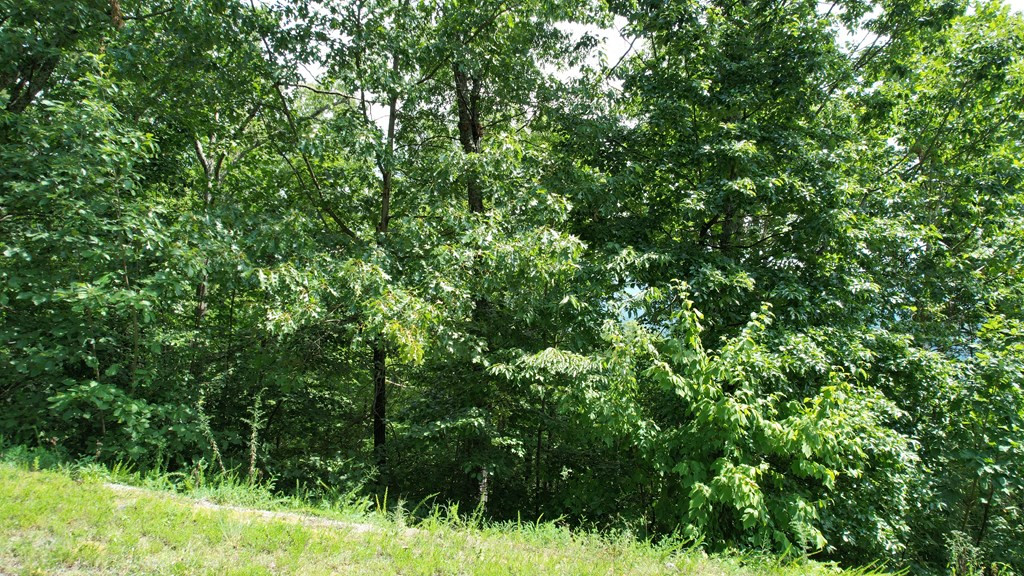 Lot 118 Settlers View Lane Sevierville TN 37862