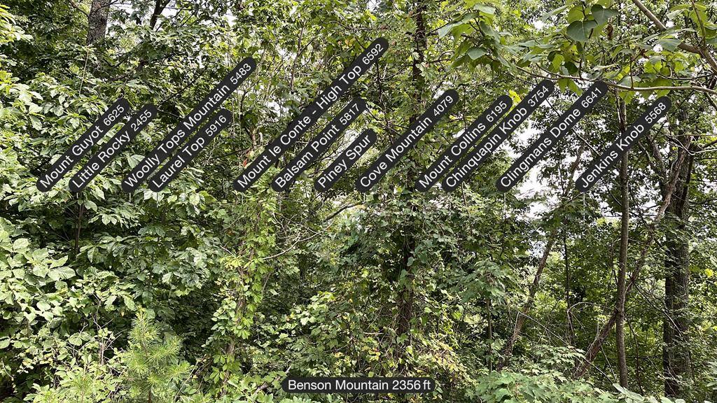 Lot 118 Settlers View Lane Sevierville TN 37862