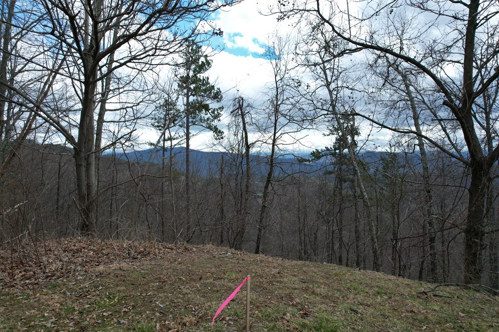 Lot 118 Settlers View Lane Sevierville TN 37862