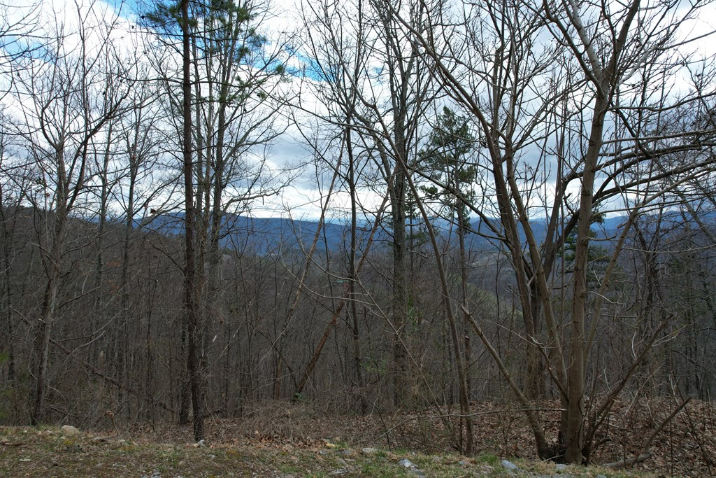 Lot 118 Settlers View Lane Sevierville TN 37862