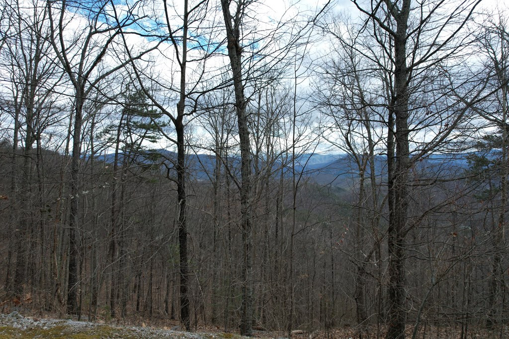 Lot 118 Settlers View Lane Sevierville TN 37862