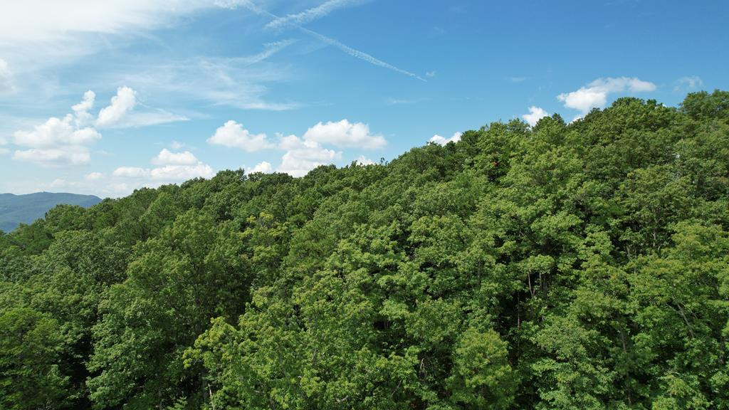 Lot 118 Settlers View Lane Sevierville TN 37862
