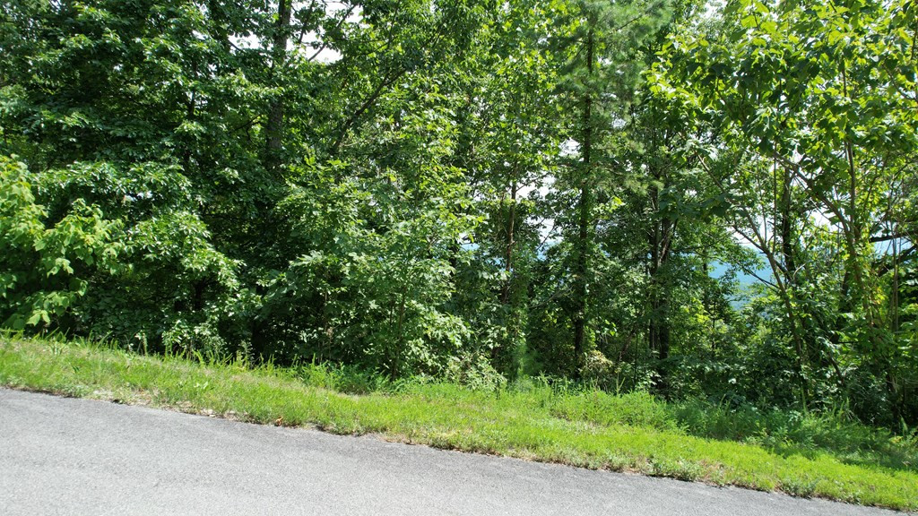 Lot 118 Settlers View Lane Sevierville TN 37862