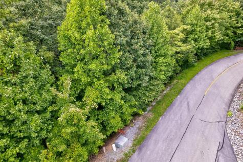 Lot 64E Redtail Road Sevierville TN 37862