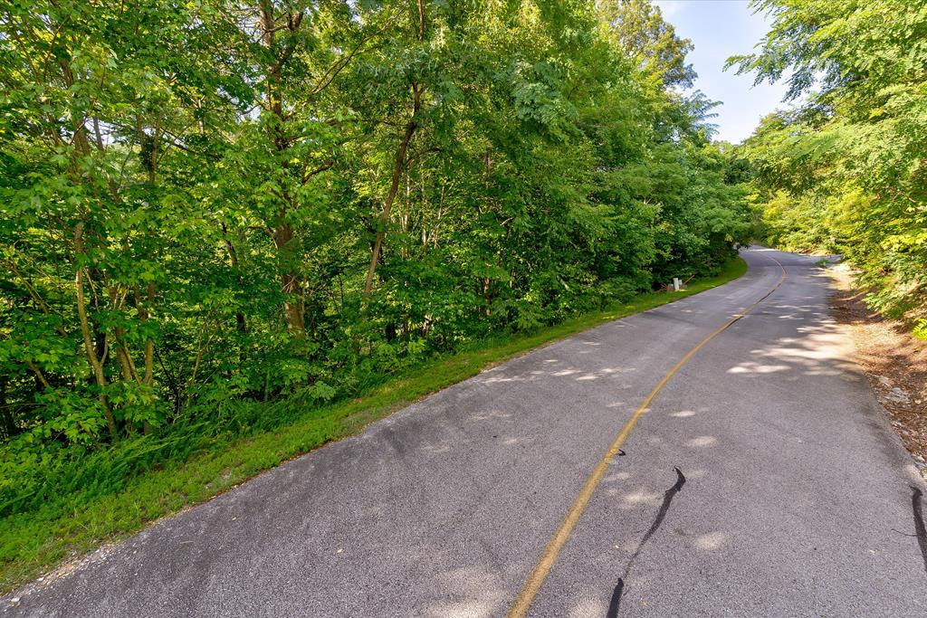 Lot 64e Redtail Road Sevierville TN 37862