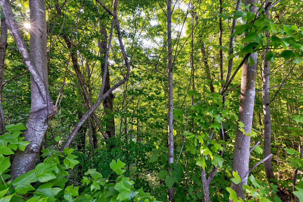 Lot 64e Redtail Road Sevierville TN 37862
