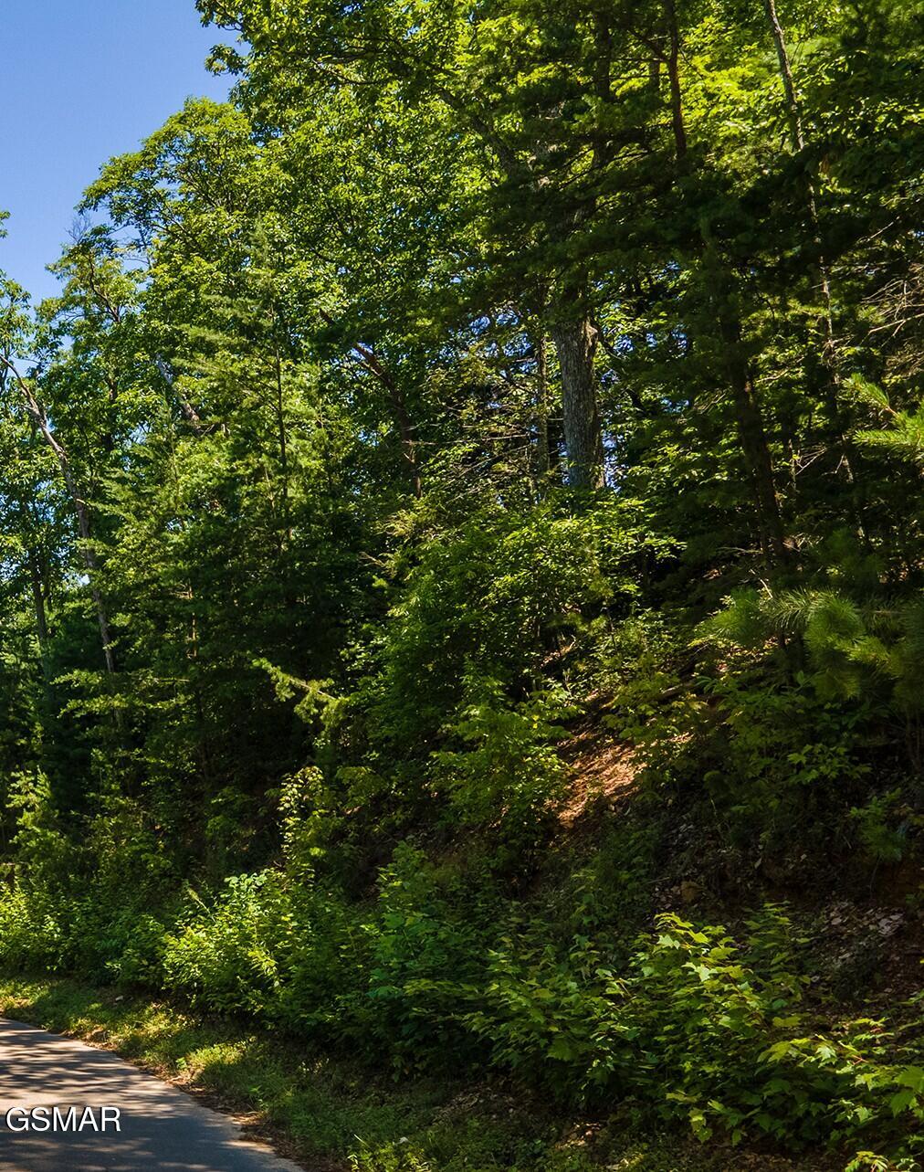 Lot 1 Norton Creek Gatlinburg TN 37738
