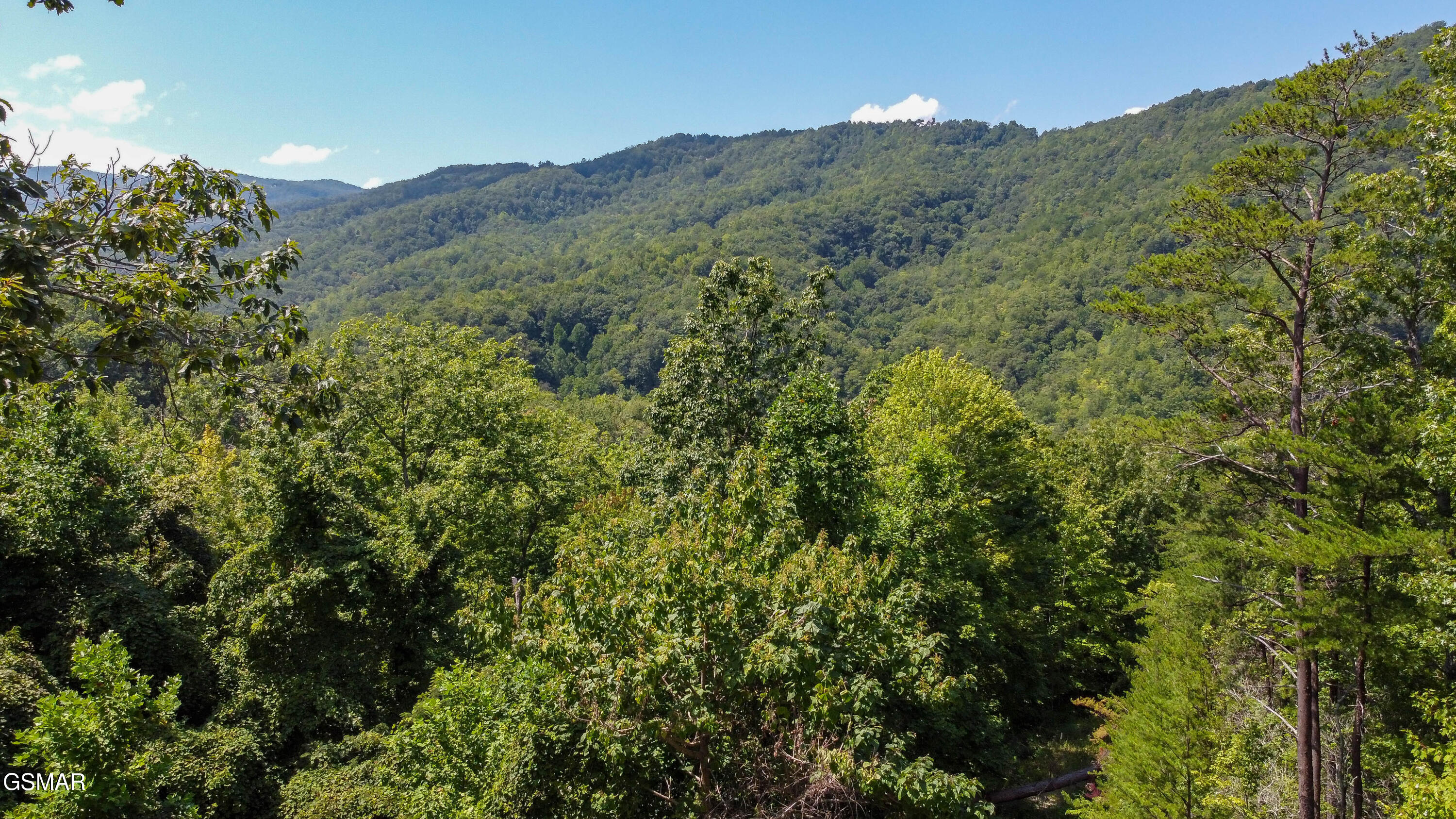 Lot 1 Norton Creek Gatlinburg TN 37738