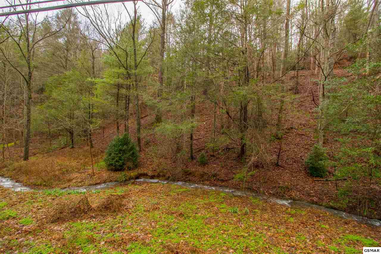 543 Butler Branch Road Gatlinburg TN 37738