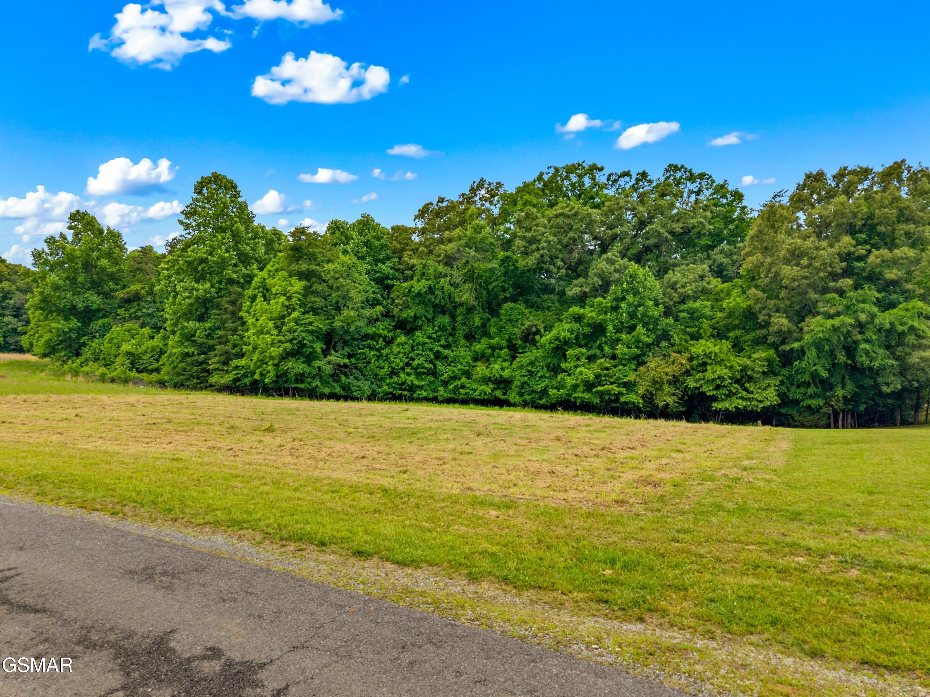 0.55 Covington Road Dandridge TN 37725