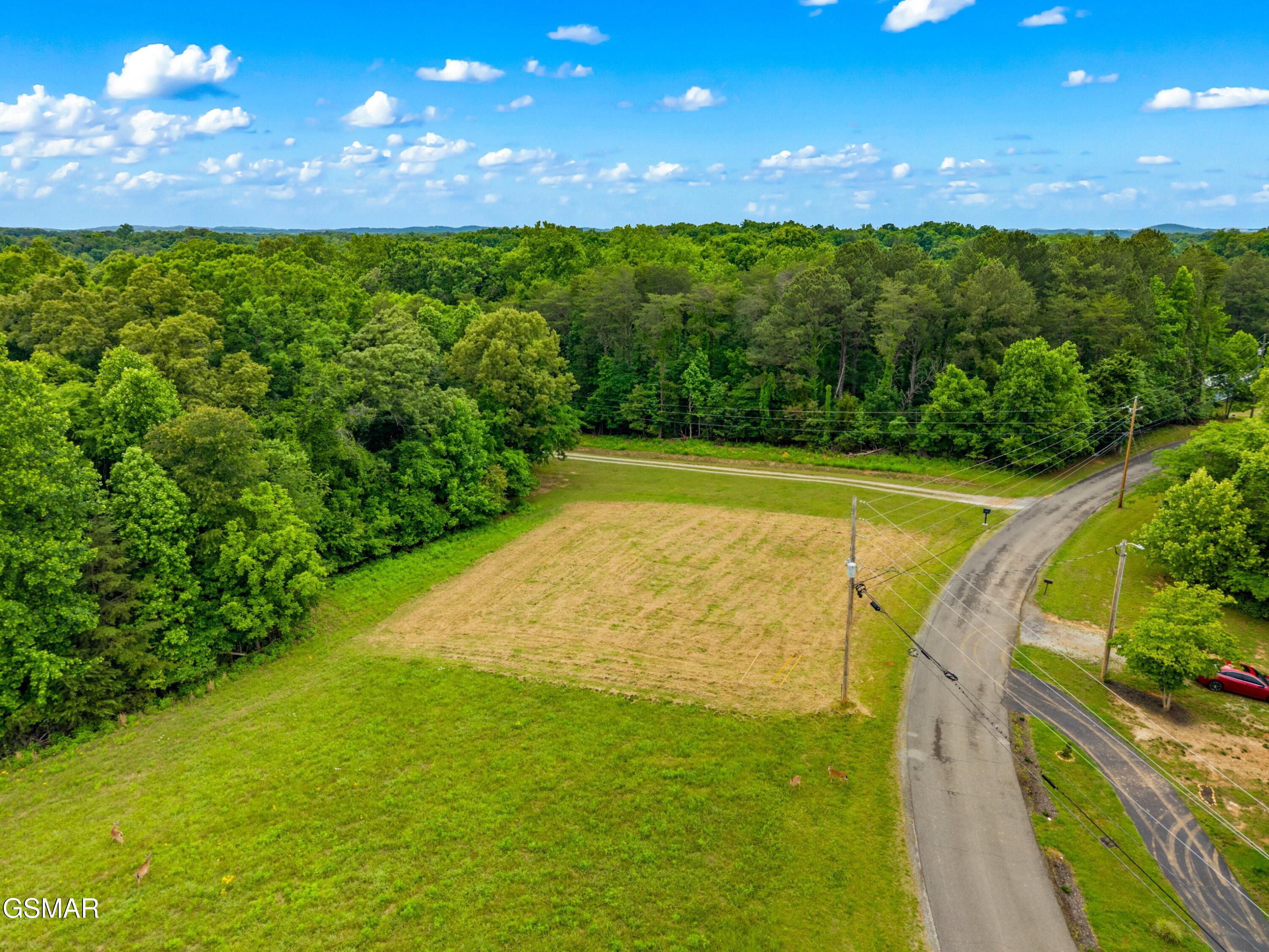 0.55 Covington Road Dandridge TN 37725