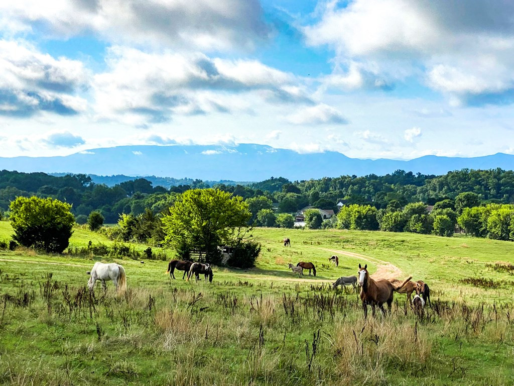 Highway 139 Dandridge TN 37725