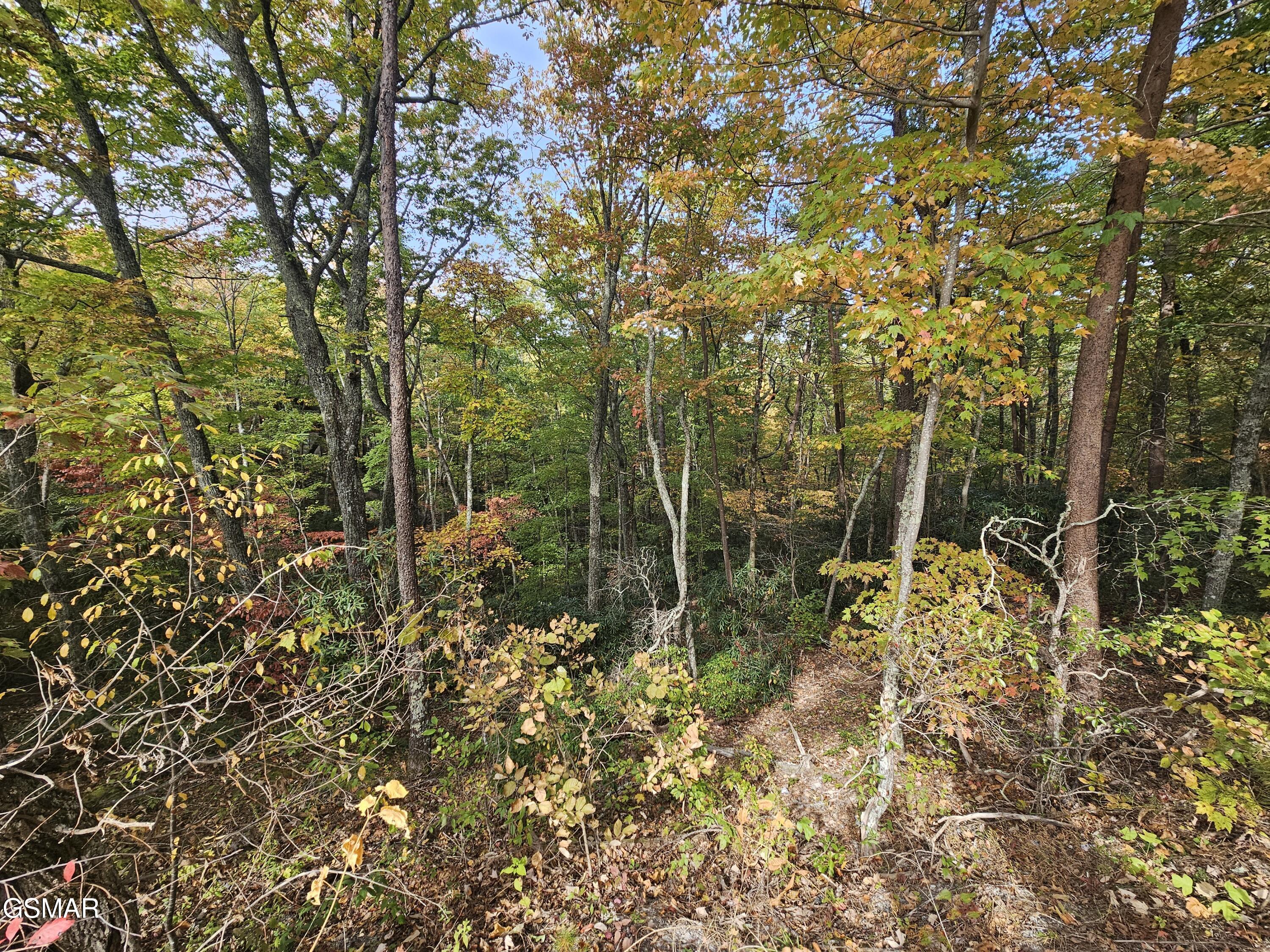 0 Denton Court Sevierville TN 37862