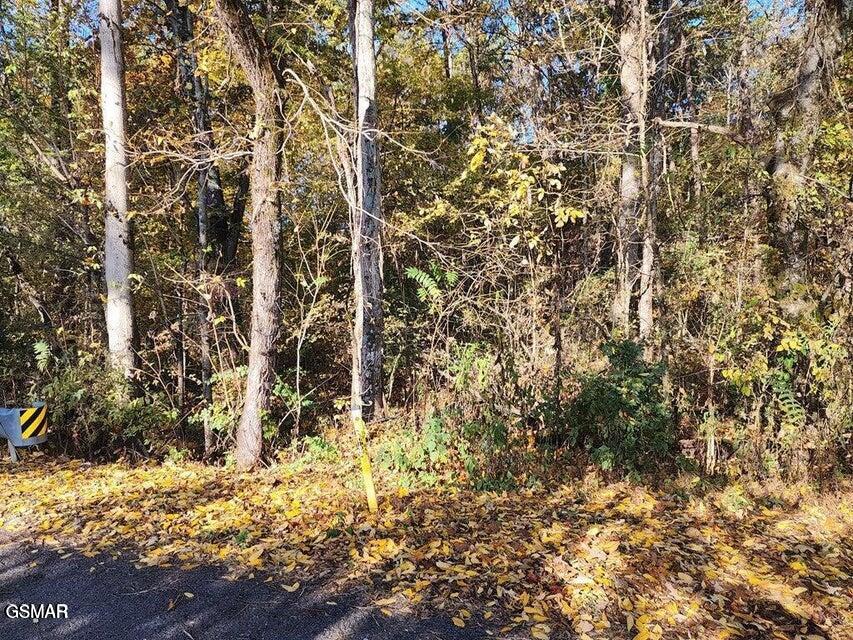 703 Briggs Road Dandridge TN 37725
