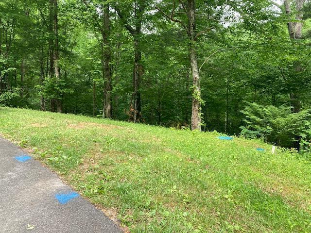 00 Laurel Road Townsend TN 37882