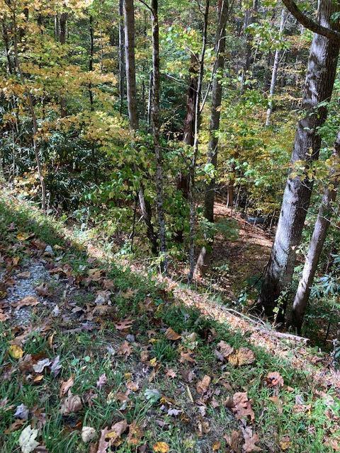 00 Laurel Road Townsend TN 37882