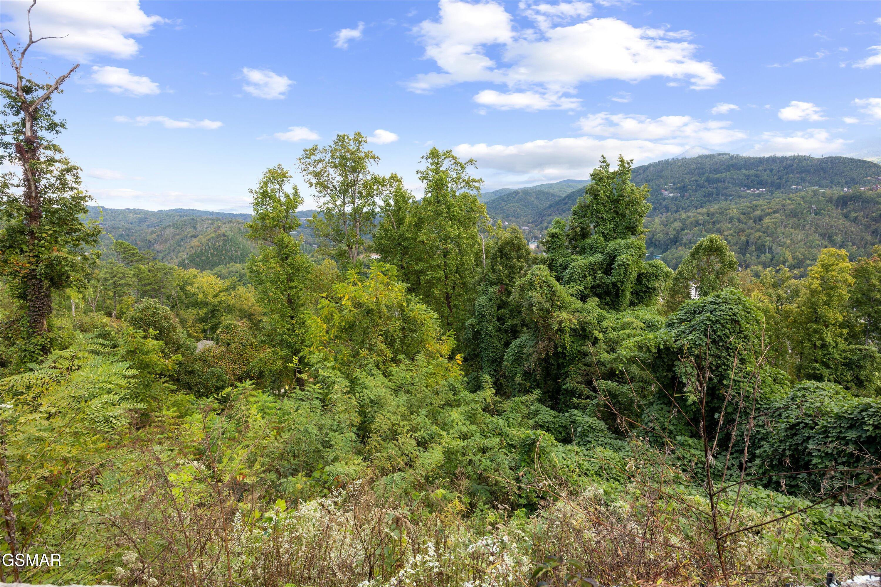 430 Greystone Heights Road Gatlinburg TN 37738