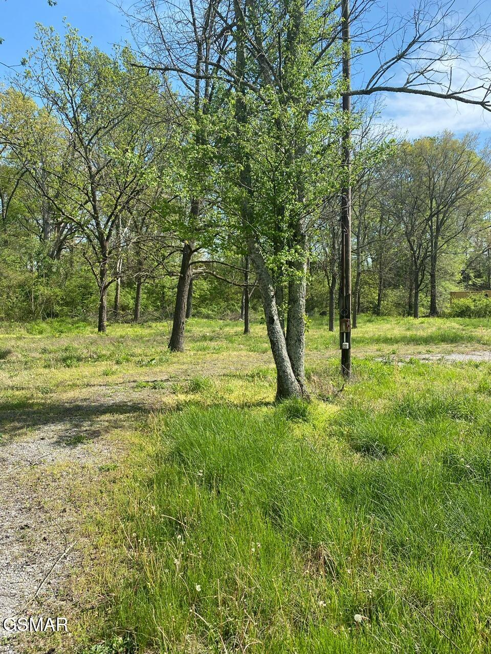 459 W Main Street Smithville TN 37166