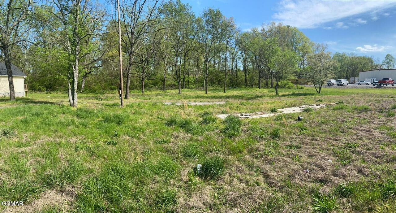 459 W Main Street Smithville TN 37166