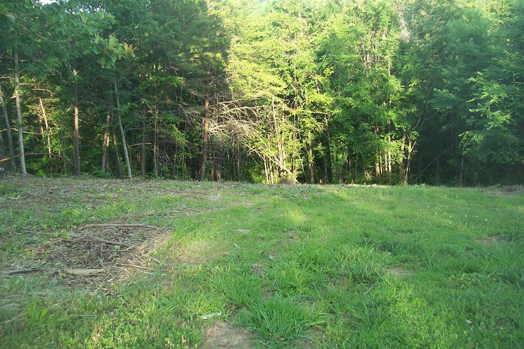 Lot 2 Sunset View Road Sevierville TN 37876