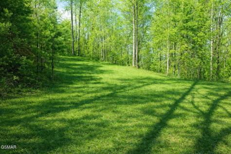 Lot 41 Black Maple Way Del Rio TN 37727