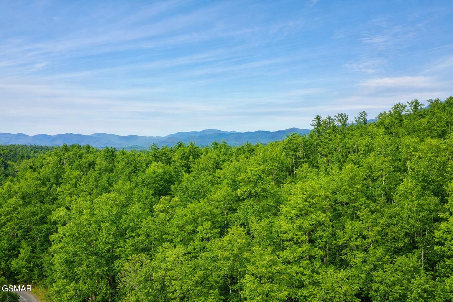 Lot 41 Black Maple Way Del Rio TN 37727