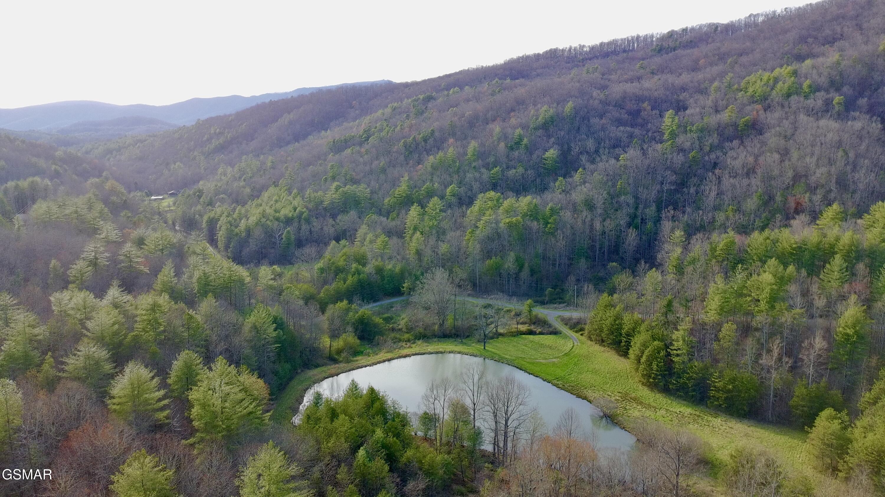 Lot 41 Black Maple Way Del Rio TN 37727